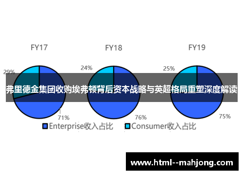 弗里德金集团收购埃弗顿背后资本战略与英超格局重塑深度解读 弗里德金集团收购埃弗顿背后资本战略与英超格局重塑深度解读