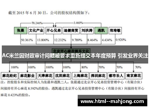 AC米兰因财政审计问题被要求重新提交本年度预算 引发业界关注